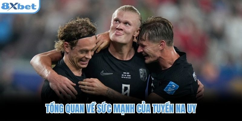 Tổng quan về sức mạnh của tuyển Na Uy