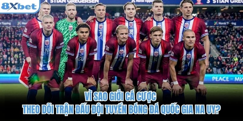Vì sao giới cá cược theo dõi trận đấu đội tuyển bóng đá quốc gia Na Uy?